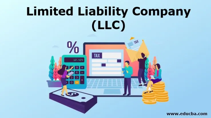 Limited-Liability-Company-LLC